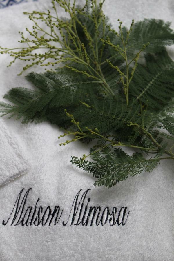 Maison Mimosa เนเวซ์ ภายนอก รูปภาพ