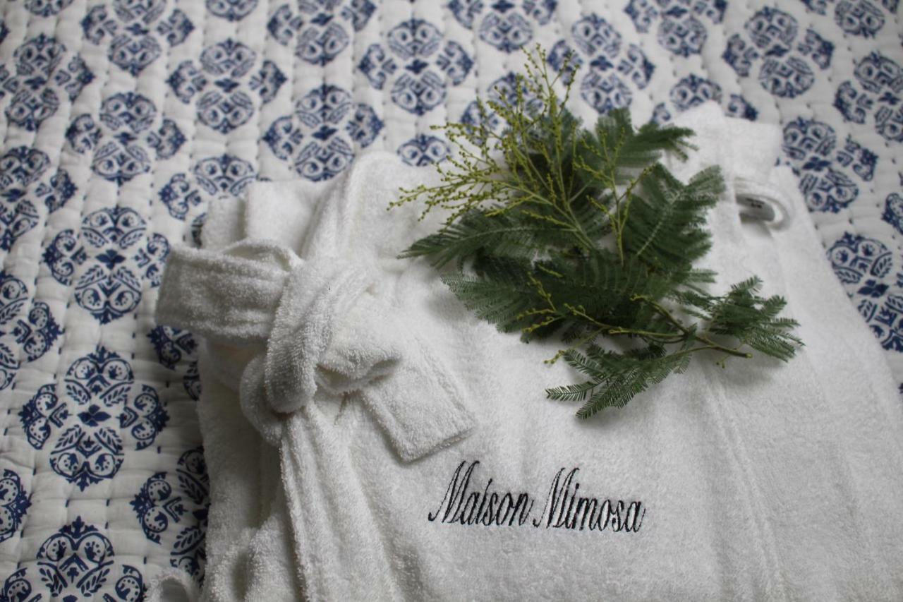 Maison Mimosa เนเวซ์ ภายนอก รูปภาพ